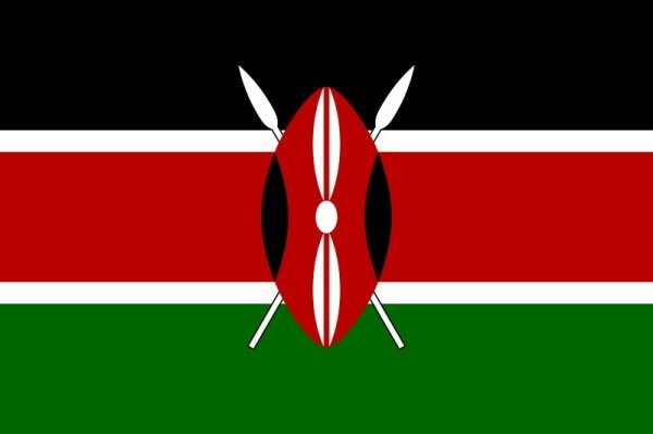 Kenyan ministries to get CIOs – Matiangi
