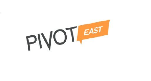 Pivot East 2013 developers present in Mobile Financial category