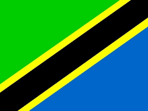 Tanzania Investment Centre seeks Chinese cash through website