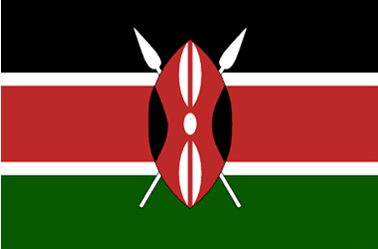 10 more Kenyan Huduma centres to launch next month
