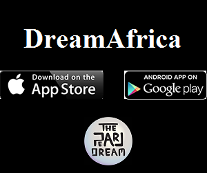 One Year Later DreamAfrica Exhibits at NY TechDay